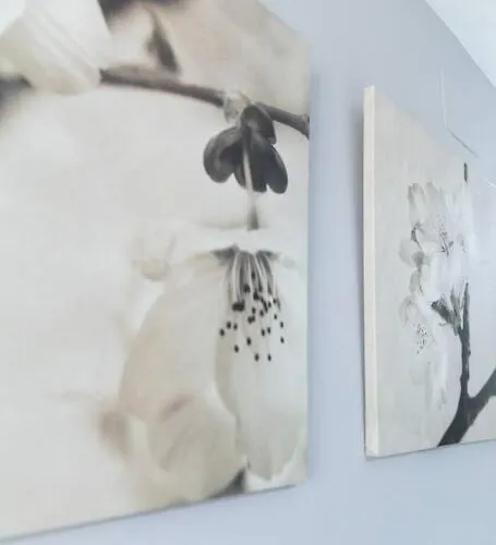 Pasquin Апартаменты *