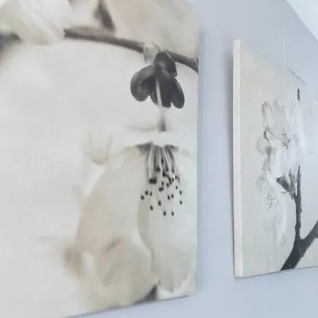 Pasquin Apartment *